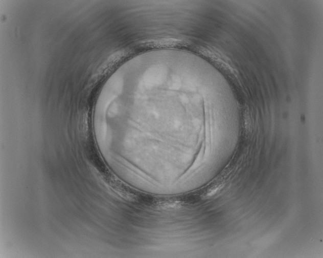 X0000075830206200610151528