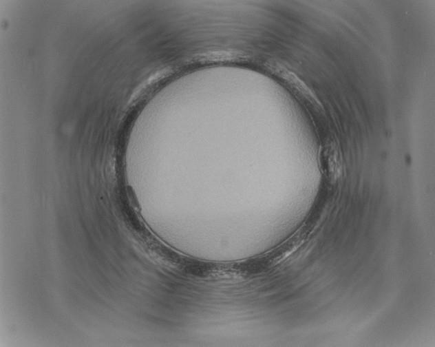 X0000075830207200610151528