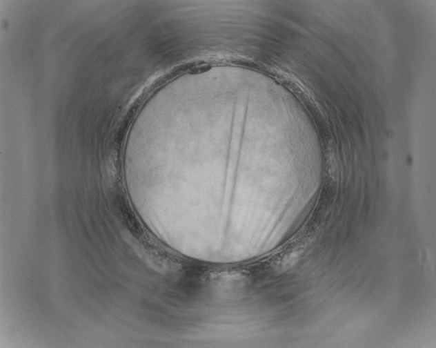 X0000075830208200610151528