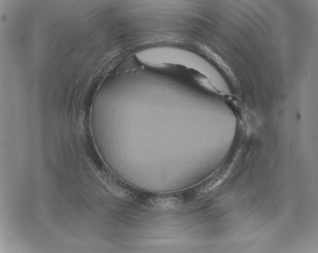 X0000075830209200610151528