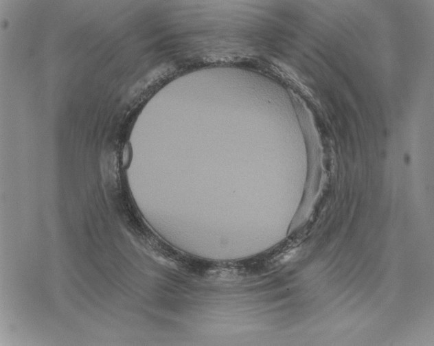 X0000075830211200610151528