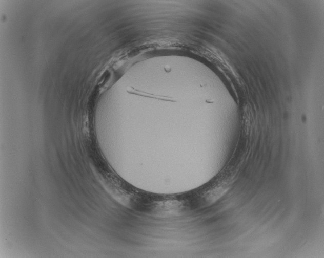 X0000075830212200610151528