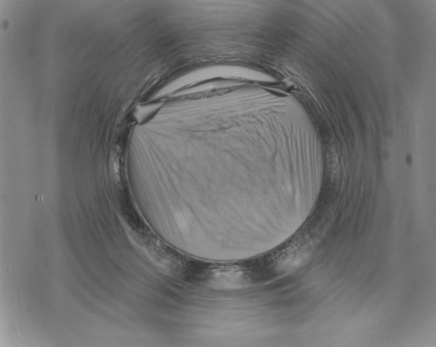 X0000075830214200610151528