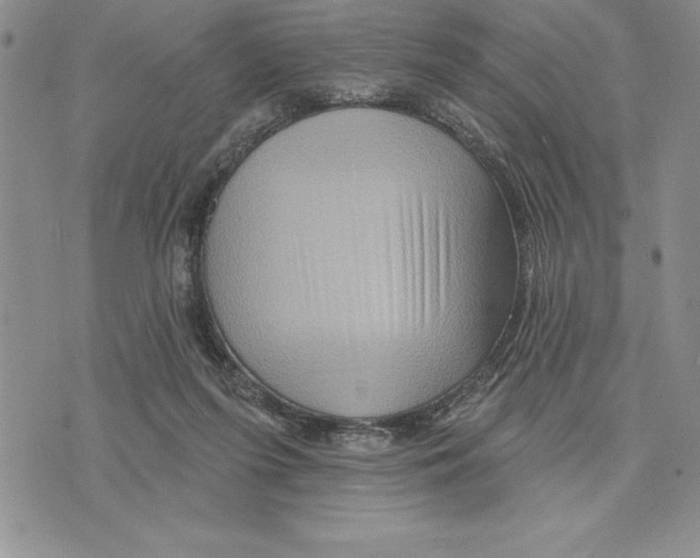 X0000075830215200610151528