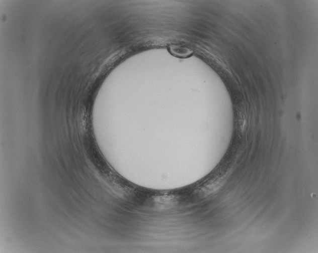 X0000075830216200610151528