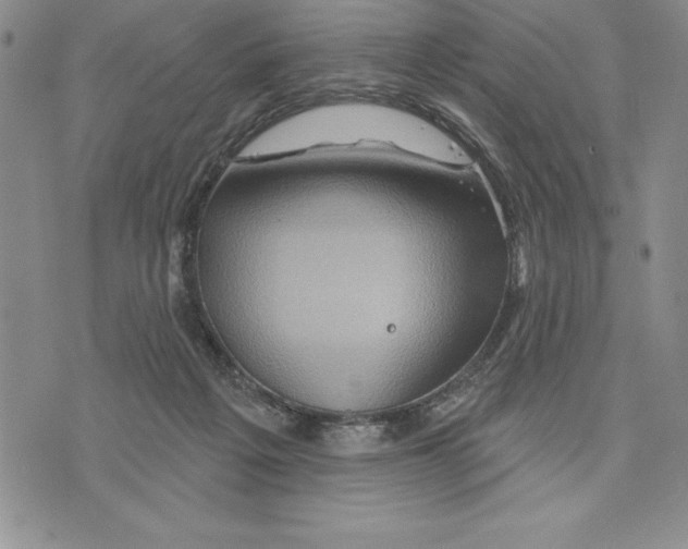 X0000075830217200610151528