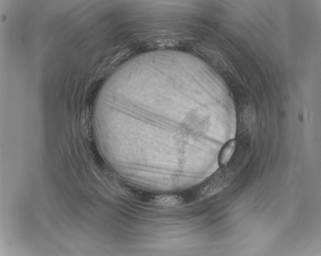 X0000075830218200610151528