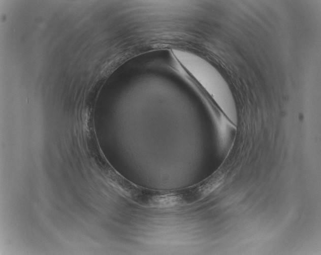 X0000075830219200610151528