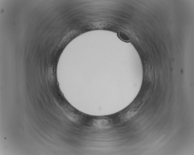 X0000075830220200610151528