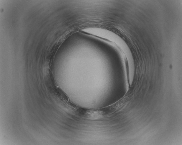 X0000075830221200610151528