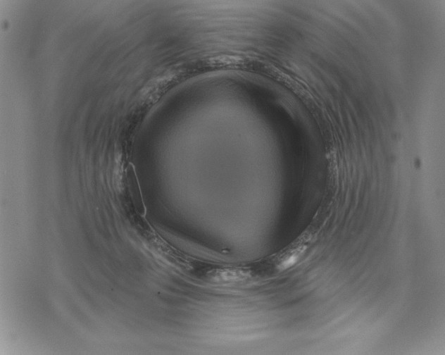 X0000075830223200610151528