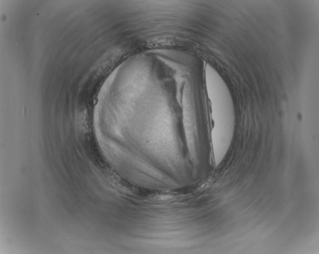 X0000075830224200610151528