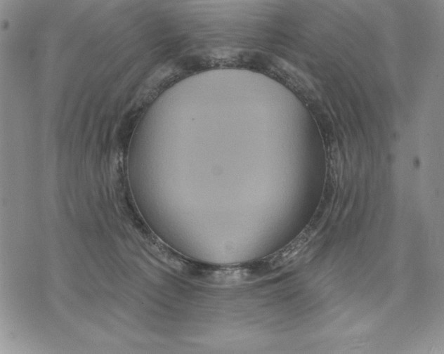 X0000075830225200610151528