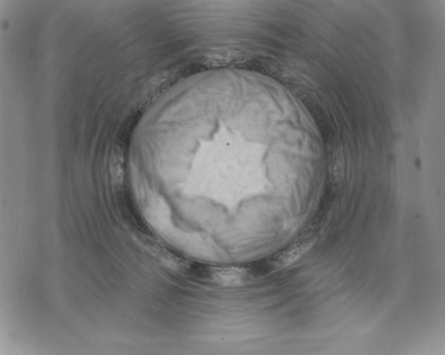 X0000075830226200610151528