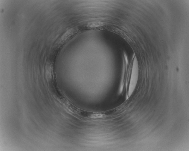 X0000075830227200610151528