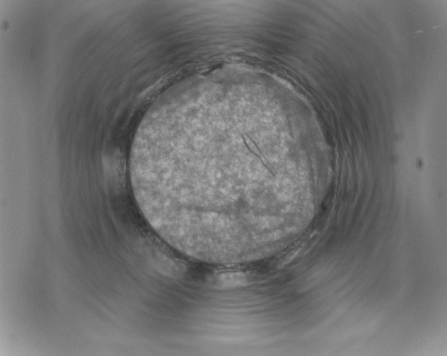 X0000075830228200610151528