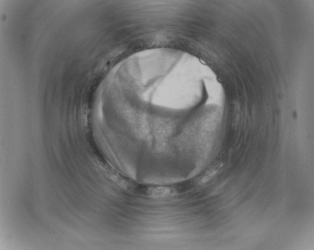 X0000075830230200610151528