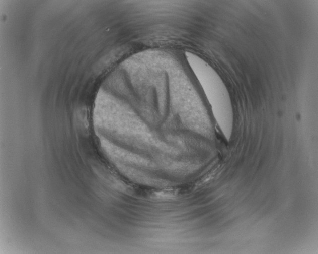 X0000075830232200610151528