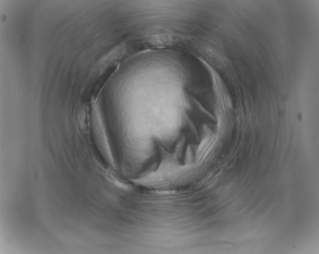 X0000075830233200610151528