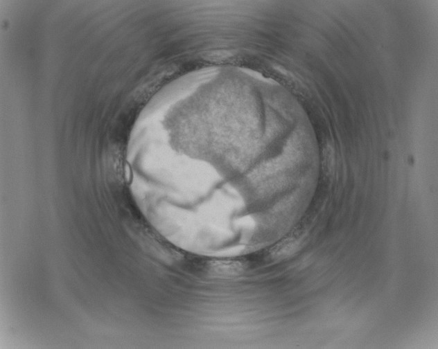 X0000075830234200610151528