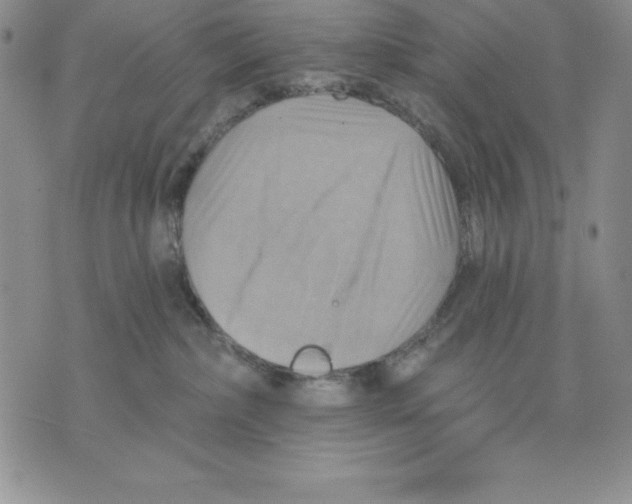 X0000075830236200610151528