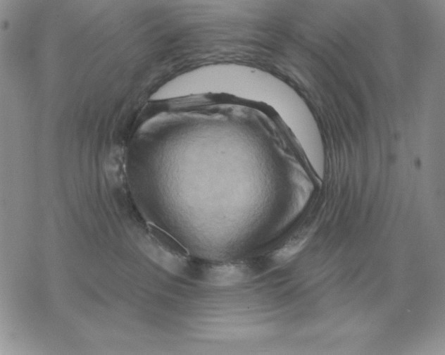 X0000075830237200610151528