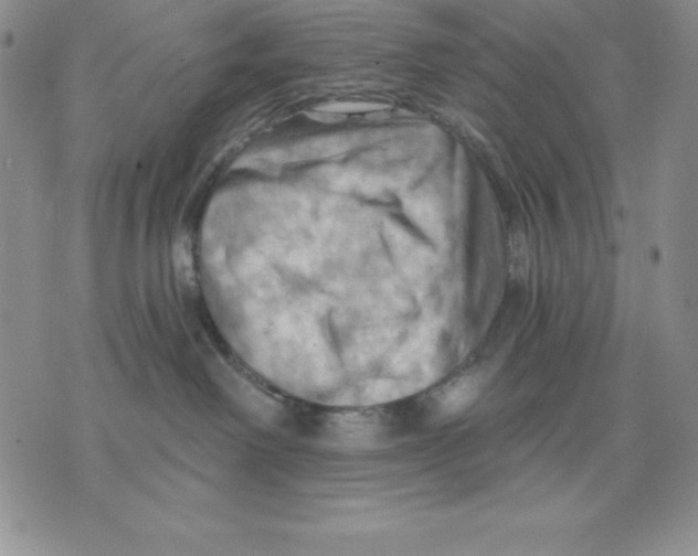 X0000075830238200610151528