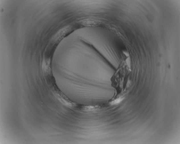 X0000075830239200610151528