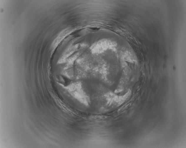 X0000075830242200610151527