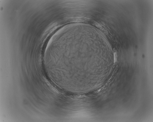 X0000075830243200610151527