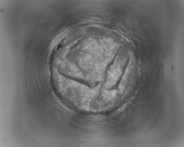 X0000075830245200610151527