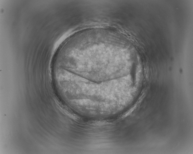 X0000075830246200610151527