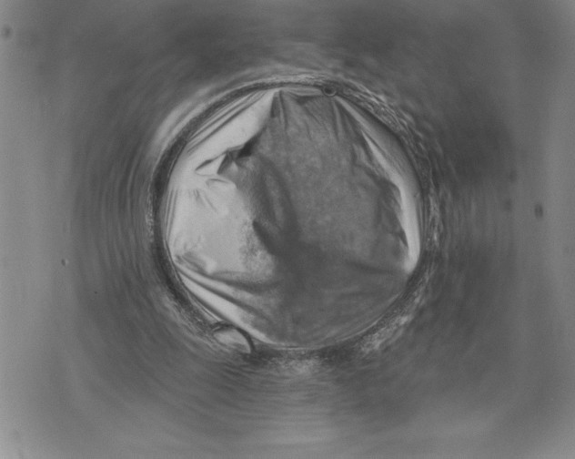 X0000075830247200610151527