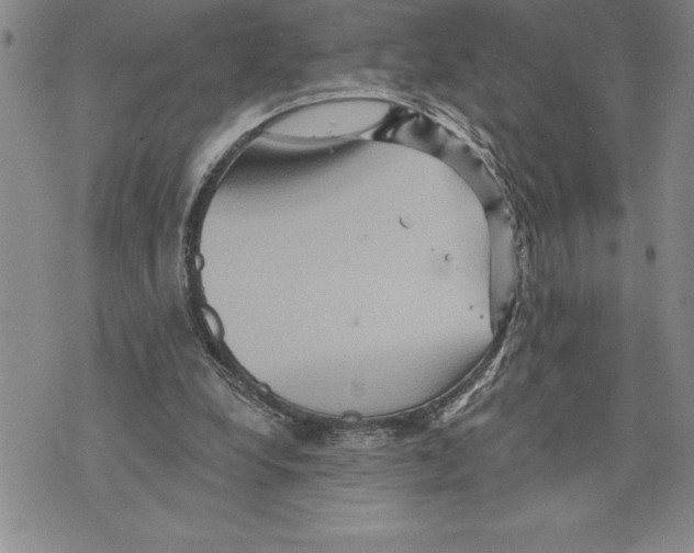 X0000075830248200610151527