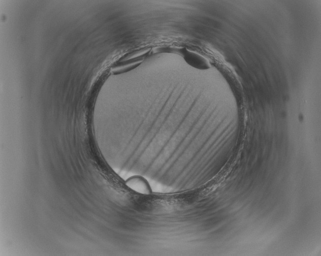 X0000075830250200610151527