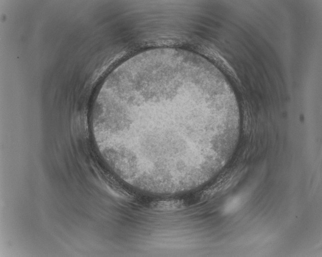 X0000075830251200610151527