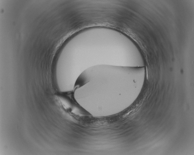 X0000075830252200610151527