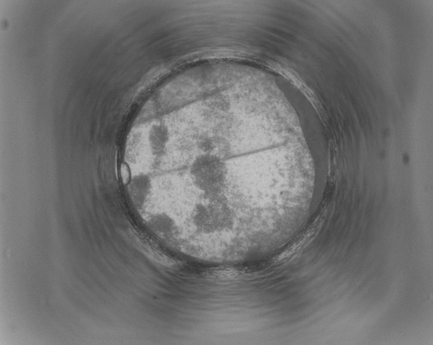 X0000075830253200610151527