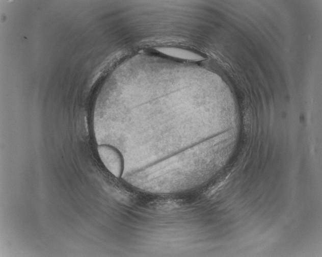 X0000075830254200610151527