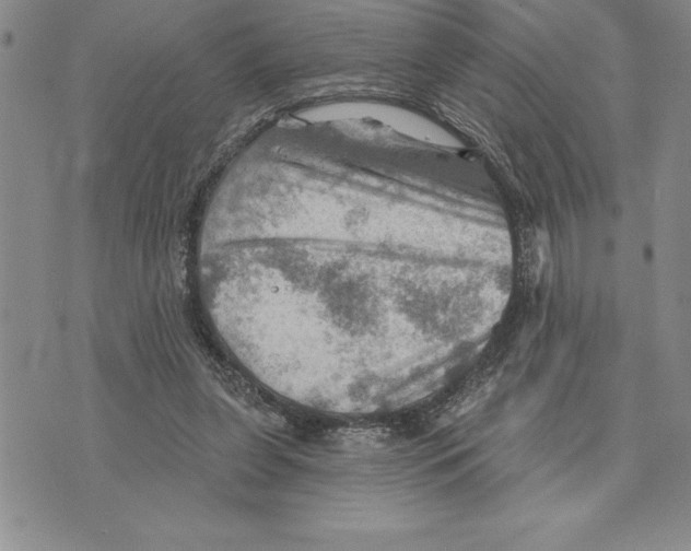 X0000075830255200610151527