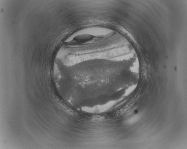 X0000075830257200610151527