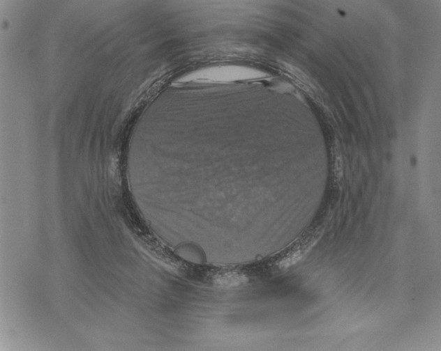 X0000075830258200610151527