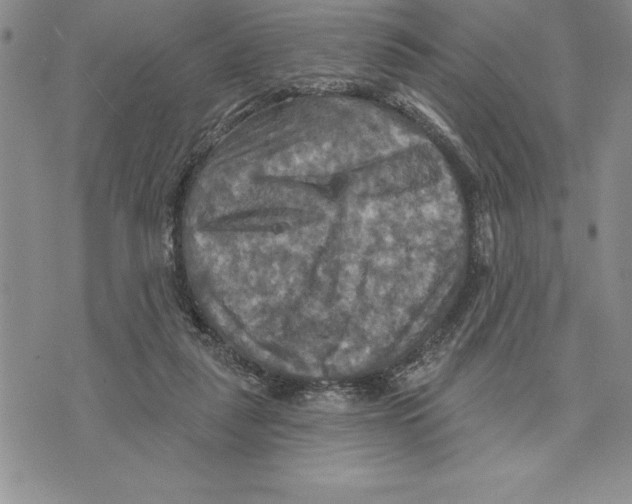 X0000075830259200610151527