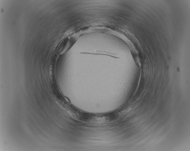 X0000075830260200610151527