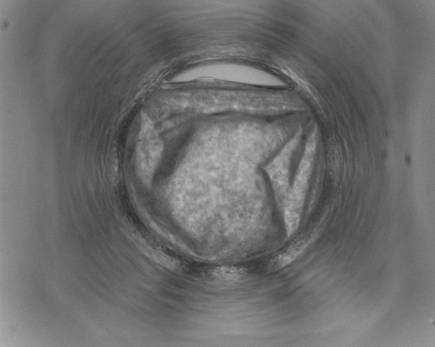 X0000075830261200610151527