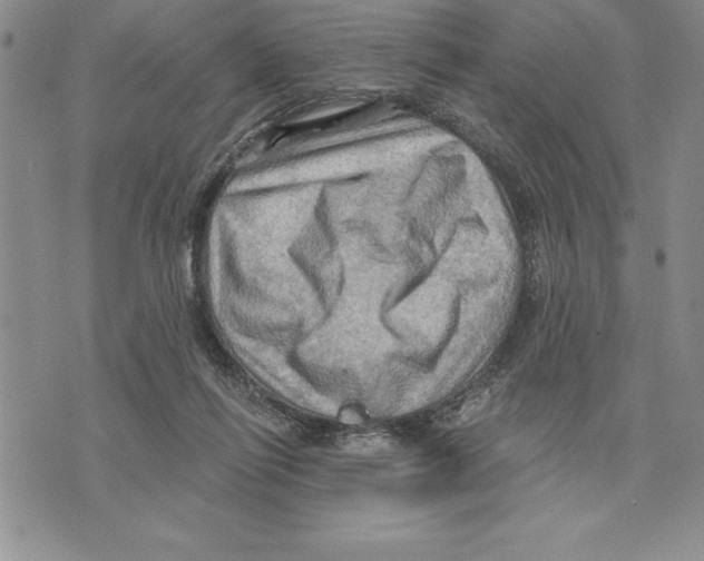 X0000075830262200610151527