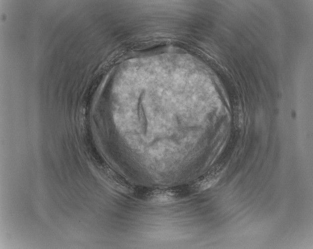 X0000075830263200610151527