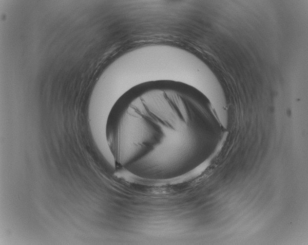 X0000075830264200610151527