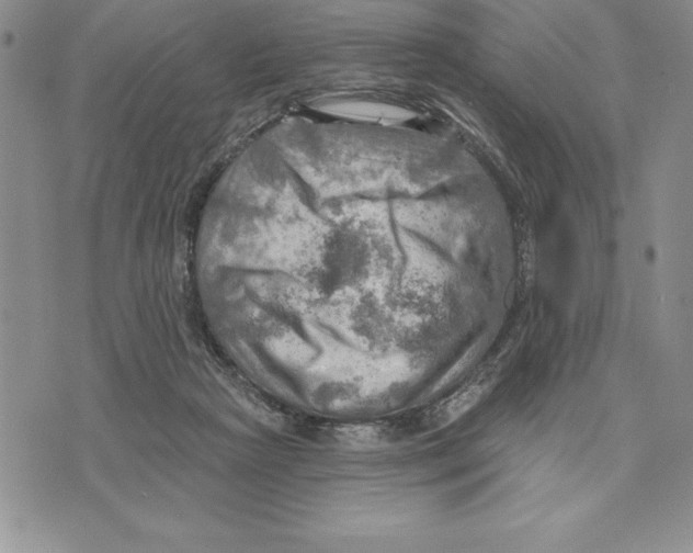 X0000075830265200610151527