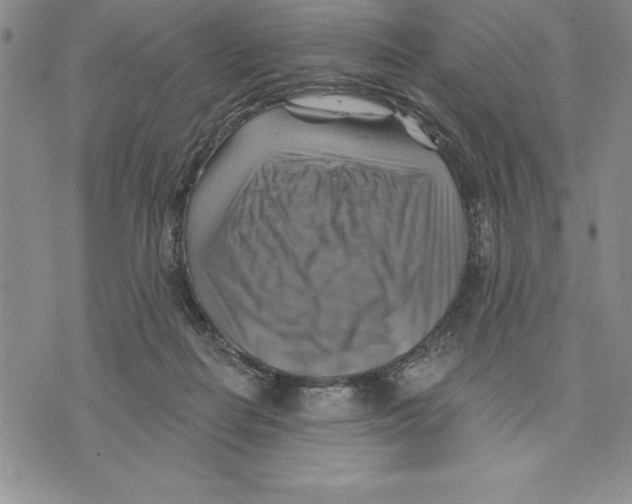 X0000075830266200610151527